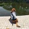 Dog Life Jacket Pet Shark Swimsuit Vest Pet Safety Wear Dog Swimsuit Preserver for Water Safety