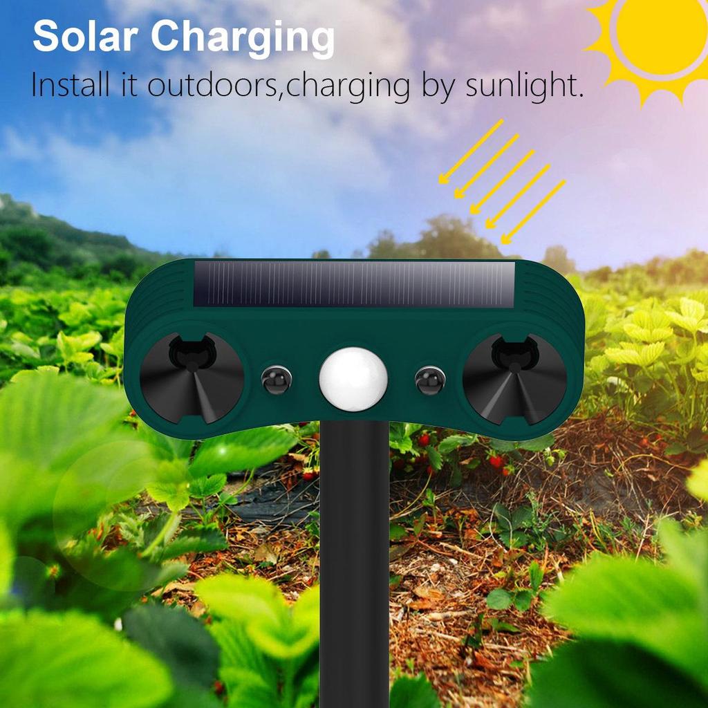 Ultrasonic Solar Animal Repeller with Infrared and Flashing Lights