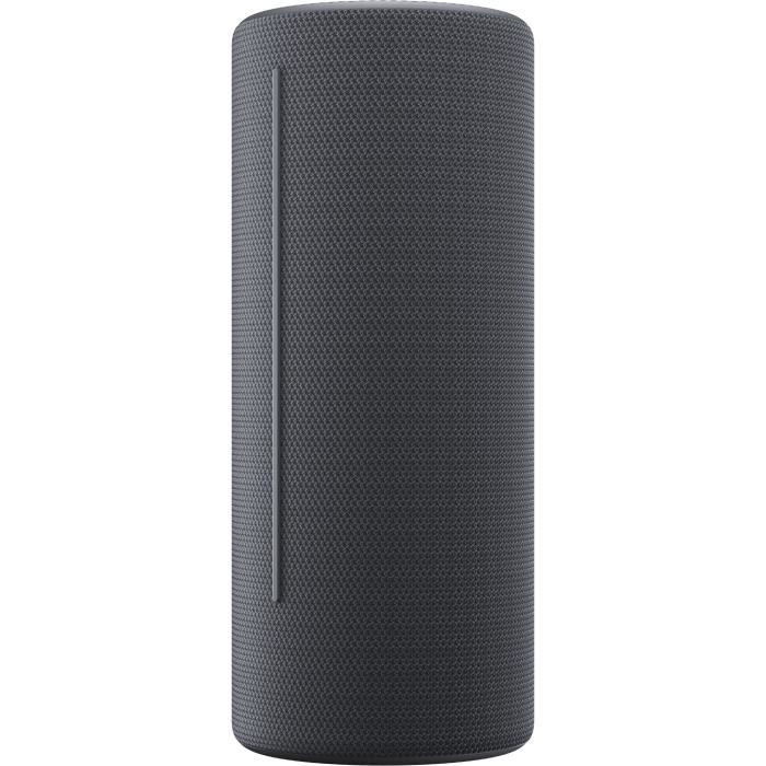 Enceinte portable sans fil LOEWE - We. HEAR 2 - Bluetooth - 60W - IPX6 - Autonomie 17h -Storm Grey