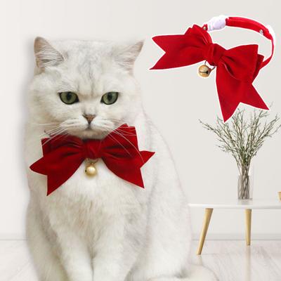 Kedi – Kedi Boyunluk ve Tasmaları