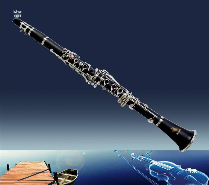 Clarinet Mouthpiece Set with Reed, Cap, Clip, Spring, and Soft Bakelite Mouthpiece