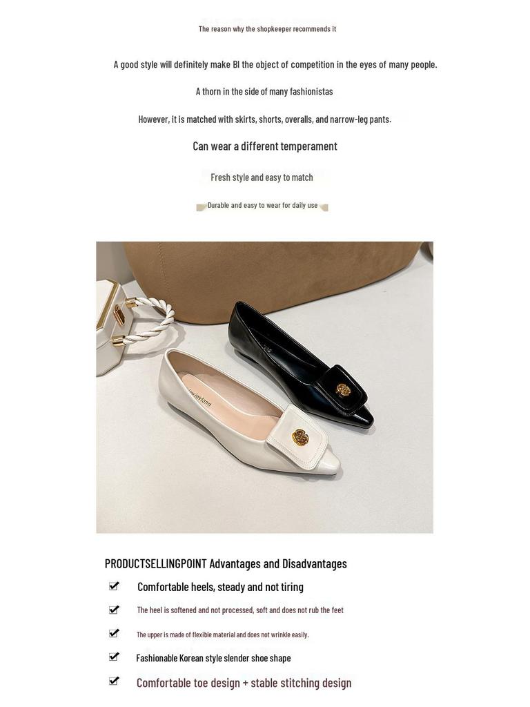 Weiwei Girl Pointed Toe Chunky Heel Mary Janes – French Style Soft Sole Low-Cut Shoes for Women