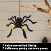 Halloween Spider Black Sonics Lift Spider Escape Room Haunted House Decoration Halloween Party Dressup Props