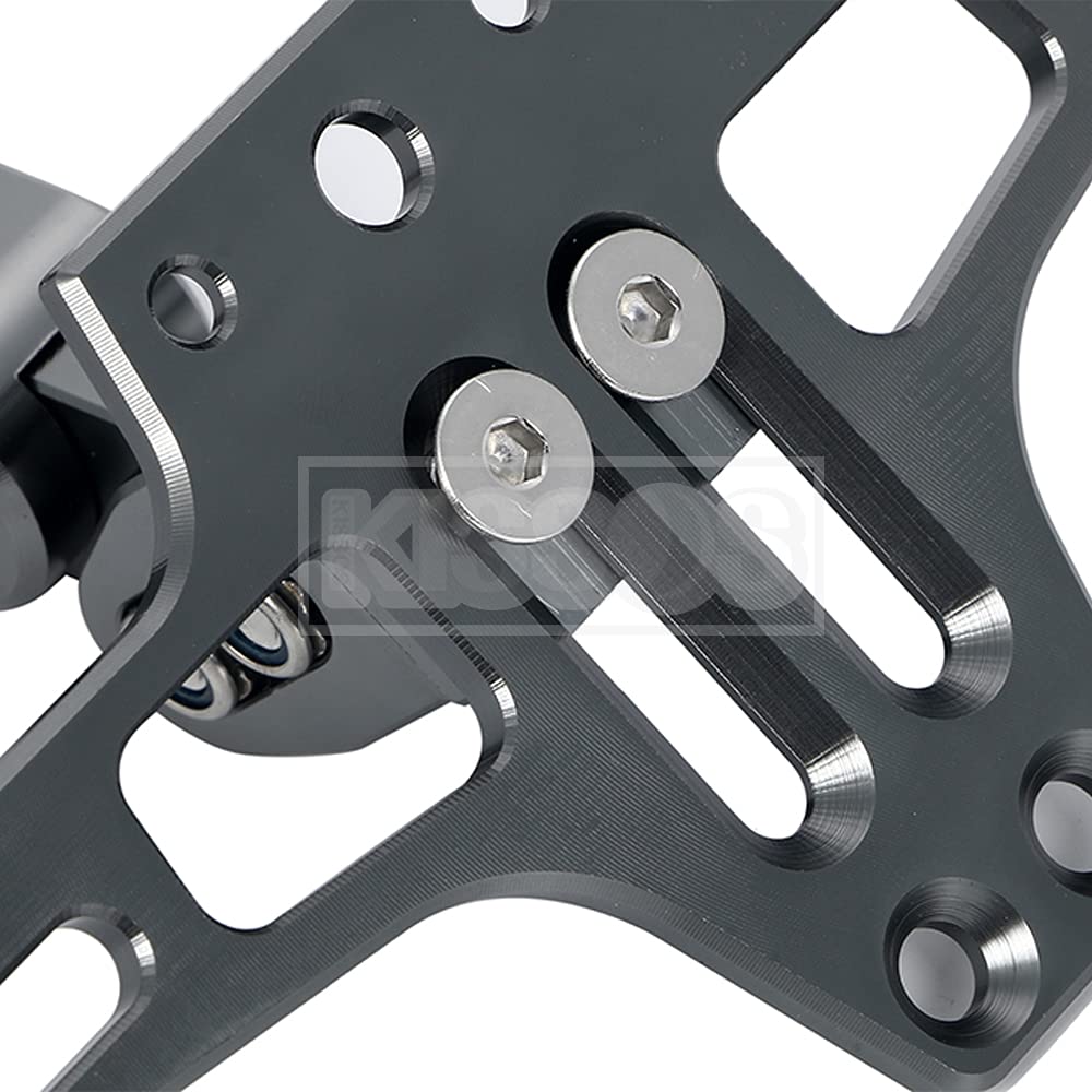 Universal Motorcycle License Plate Stay Holder with Adjustable Angle and LED Light, Custom Part (Iron)