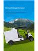 Electric Sightseeing and Delivery Van for Hotels and Campuses