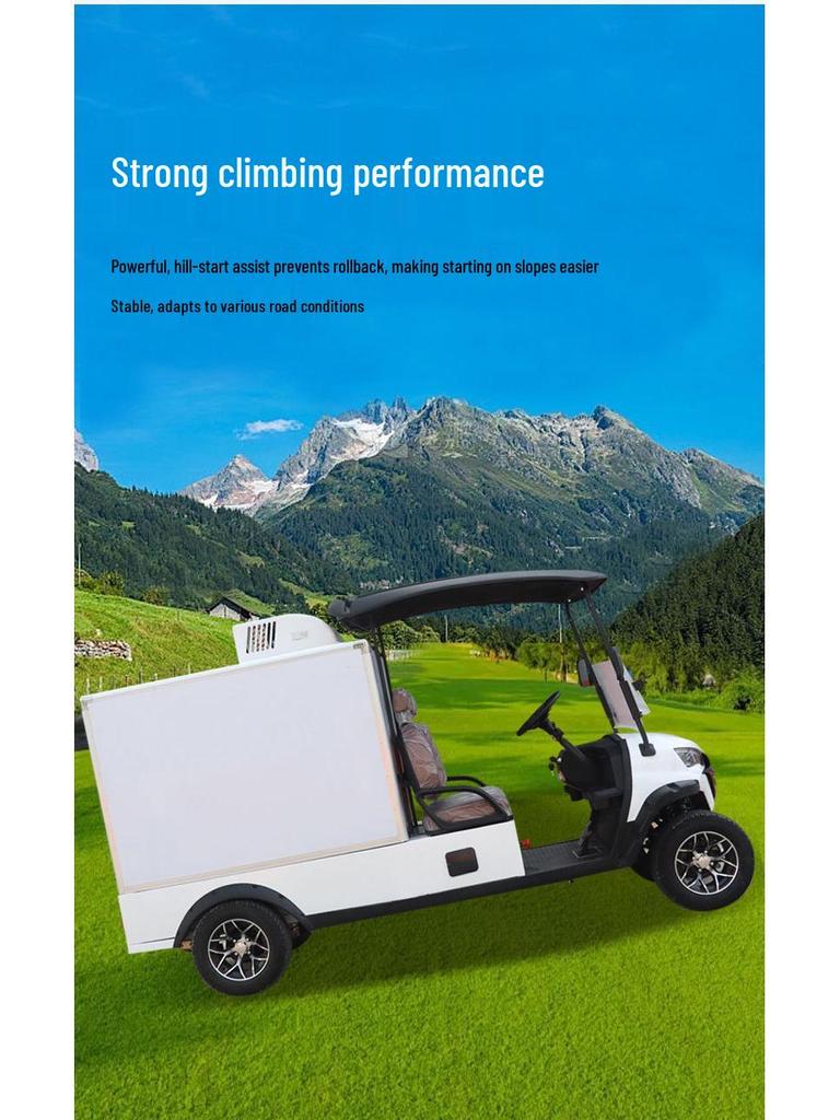 Electric Sightseeing and Delivery Van for Hotels and Campuses