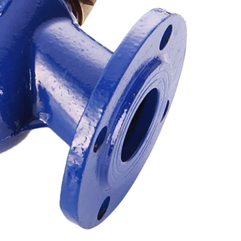 Medidor de Agua Digital Mecánico Industrial para Brida