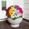 Heminredning – Konstgjorda växter & blommor