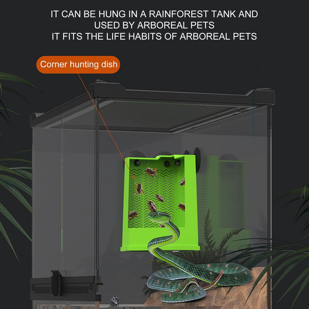 Reptilnapf Frosch Futter Napf Saugnapf Gecko Futterspender Für Becken Kletter Futterspender Becken Zubehör Für Schlangen Züchter Vogel Eidechse