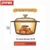 Corelle Pyrex Amber Glass Stew Pot