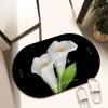 Bathroom Soft Diatom Mud Absorbent Mat Bathroom Bathroom Floor Mat Black Dirt-resistant Shower Room Anti-drop Mat
