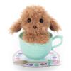 MimicryPet Teacup Mimicry Toy Poodle (Cafe Mocha)