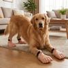 2PCS Anti-slip Human Feet Dog Shoes Funny Dog Foot Covers Creative Novelty Dog Boots  Party