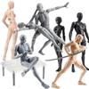 Male and Female Doll Body with Movable Joints Drawing Model Drawing Doll Body Manga Male and Female Model Drawing Mannequin Figure Model Model Drawing