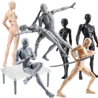 Male and Female Movable Drawing Drawing Doll Male and Female Drawing Mannequin Figure Model Model for Practicing Includes Props and Stand Skin 1/12