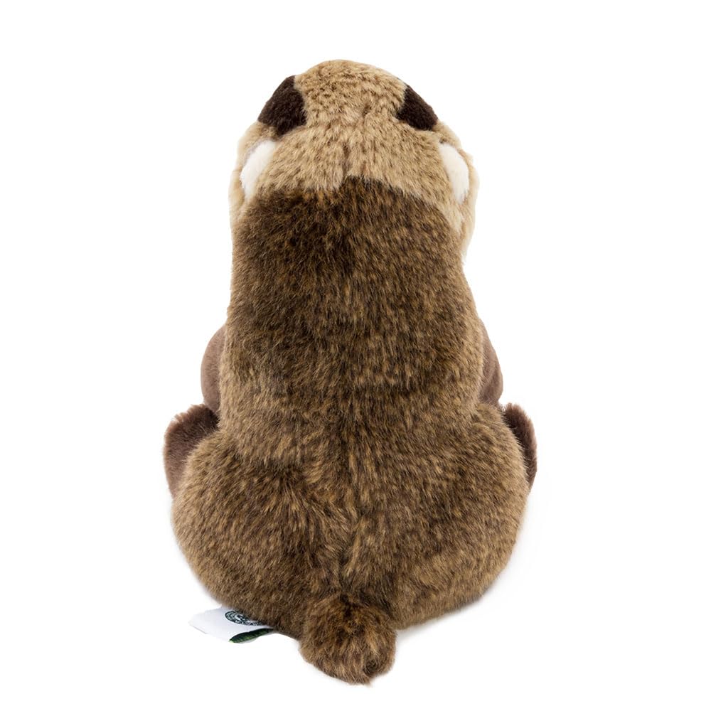 Calorata Japanese Badger Plush Toy (Realistic Animal BabySoft Touch) Realistic Badger Animal Baby Toy Doll Gift Present Birthday (Twice Tested)