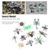 12pcs Assorted Lifelike Bugs Model Children Educational Simulation Insect Model ToyS