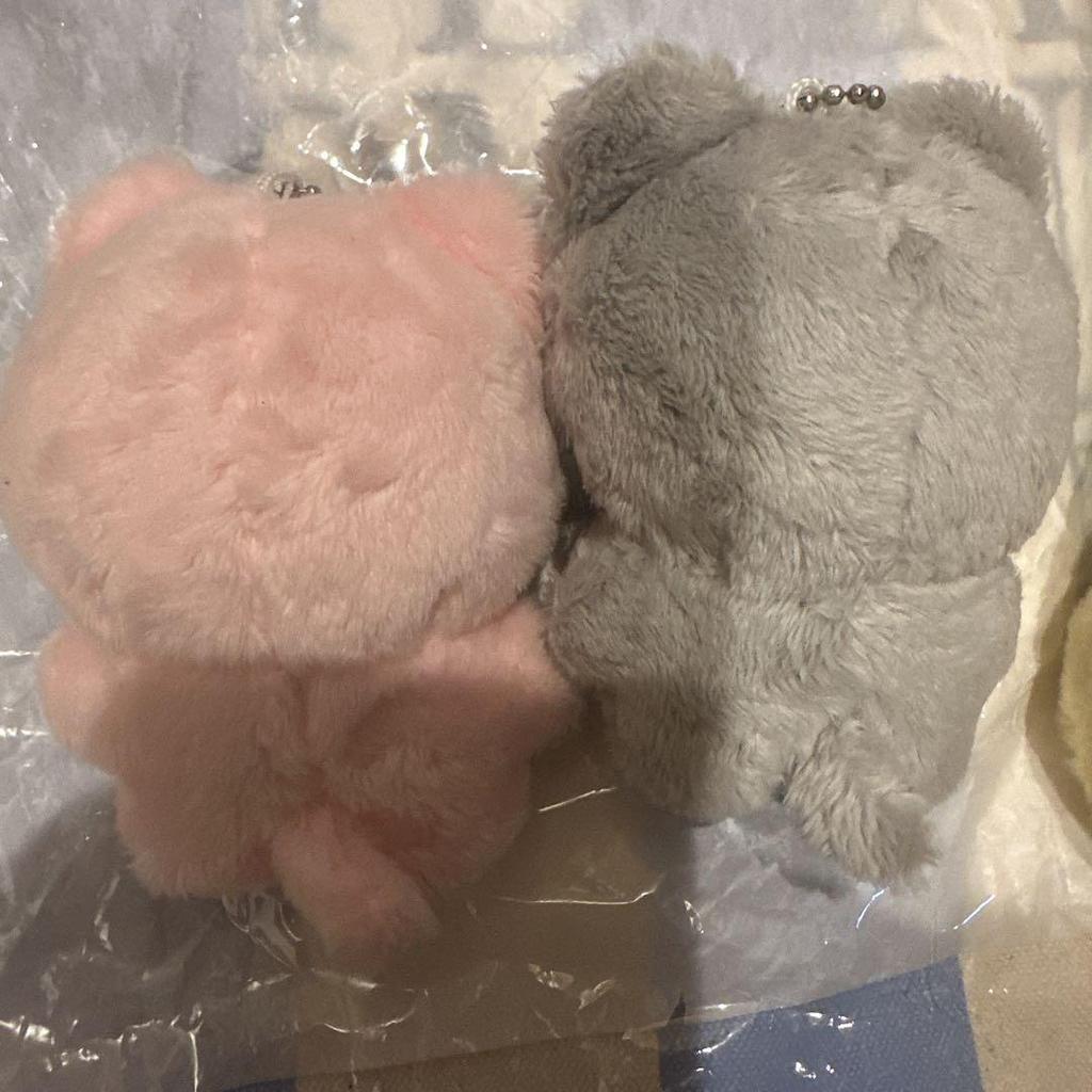[USED] Enhypen Jay 10cm Plush Toy Master