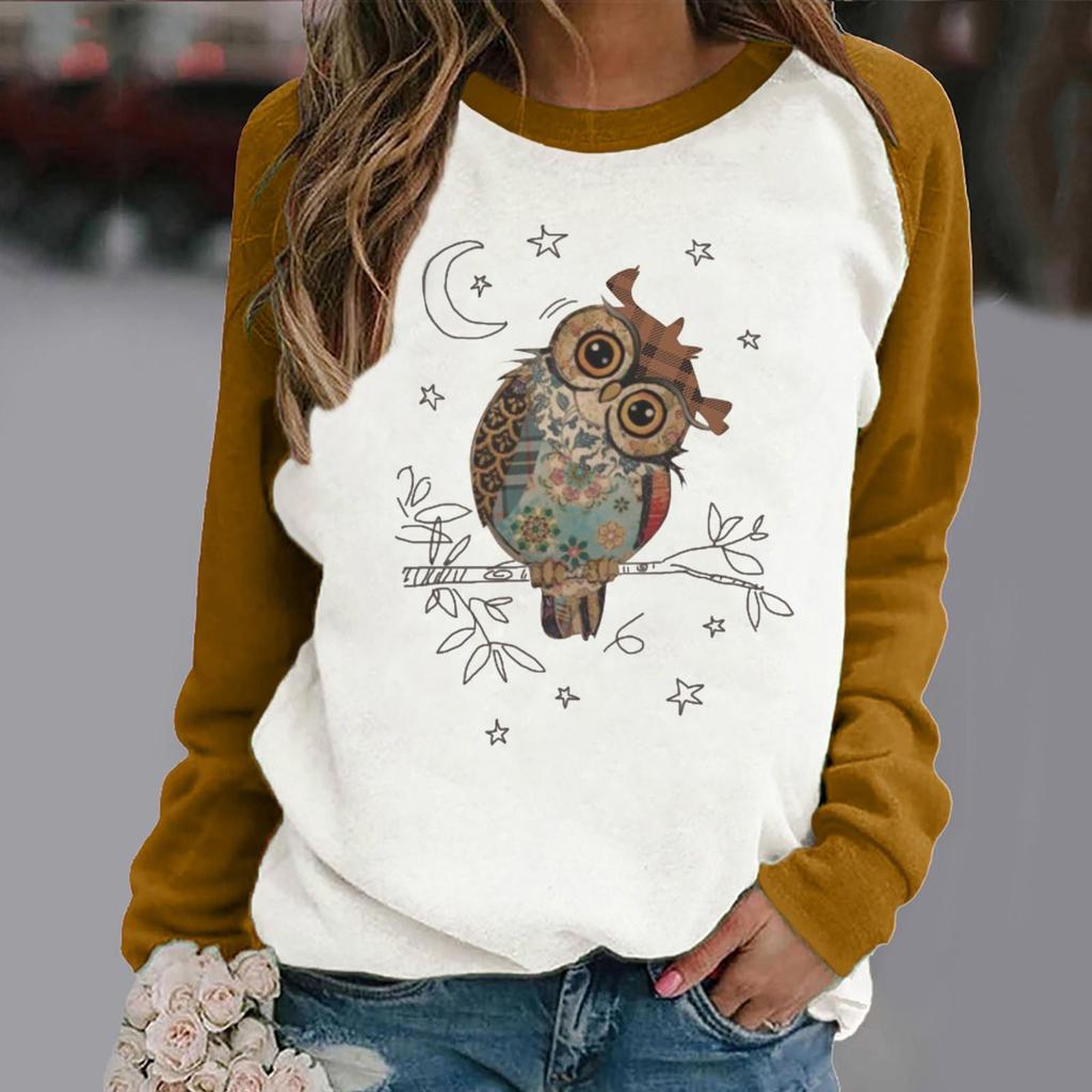 Women's Casual  Solid Color Long Sleeve Top Pullover Sweatshir
