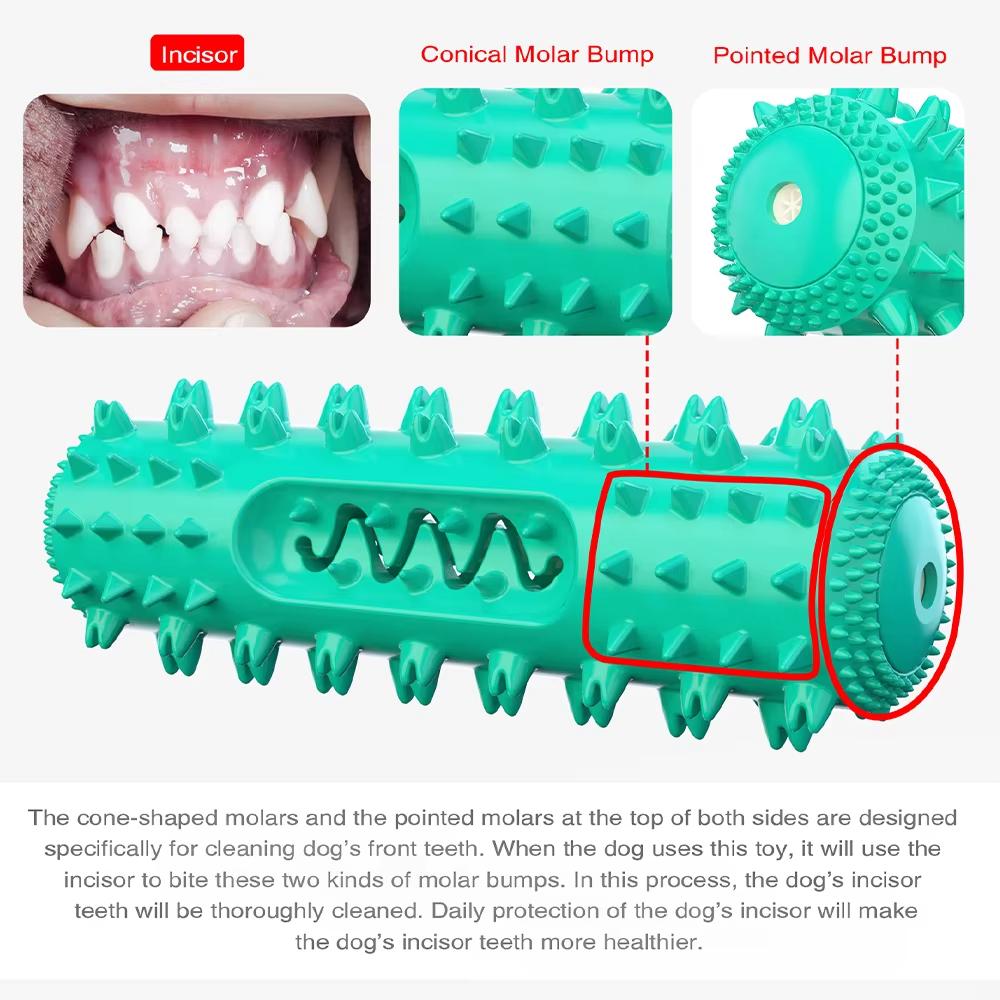 Pet Chewing Toys Lnteractive Training Rectangular Chew Squeaky Toy Elasticity Soft Pet Tooth Cleaning