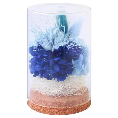 Preserved Flowers, Dome Bottle, Purple, Buddhist Flowers, Offerings, Sympathy Flowers, Equinox, Obon, Flower Arrangements, Never Withers (Bottle Blue)
