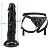 MoDi Strap-on Dildo for Women Masturbators Suction Gay Realistic Dildos Huge Penis Sexual Harness Anal Sex Toy for Lesbian