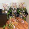 6 Inch Clear Acrylic Pressed Flower Frame Floral Keepsake Frame -Minimalist Tabletop Po Display For Home & Office Desk Decor