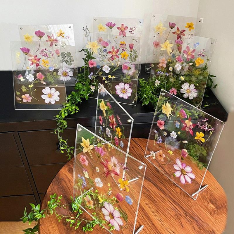6 Inch Clear Acrylic Pressed Flower Frame Floral Keepsake Frame -Minimalist Tabletop Po Display For Home & Office Desk Decor