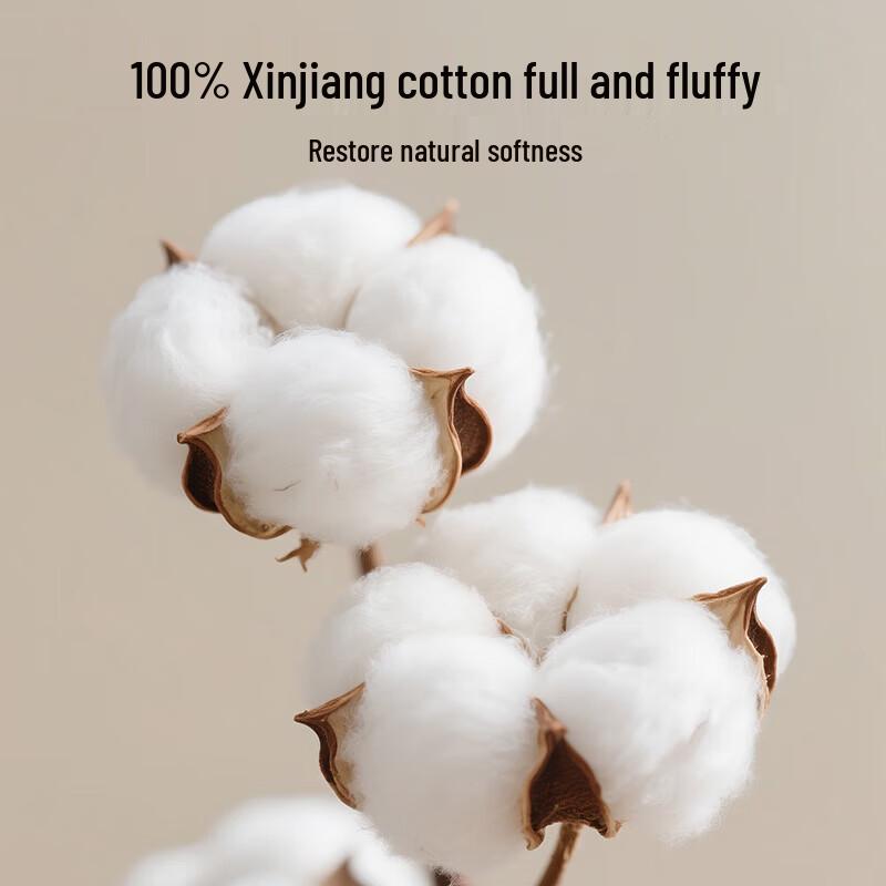 HLA Pure Cotton Bedding Set