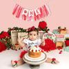 Strawberry One High Chair Banner - Strawberry 1st Party Decoration,Berry First High Chair Garland,Highchair Banner 1st Birthday Girl