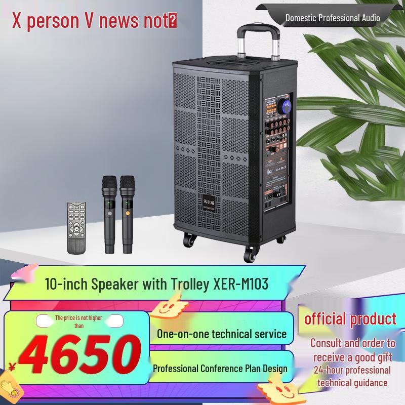 Xunwei Professional Audio & Video Conference Solutions (CN version)