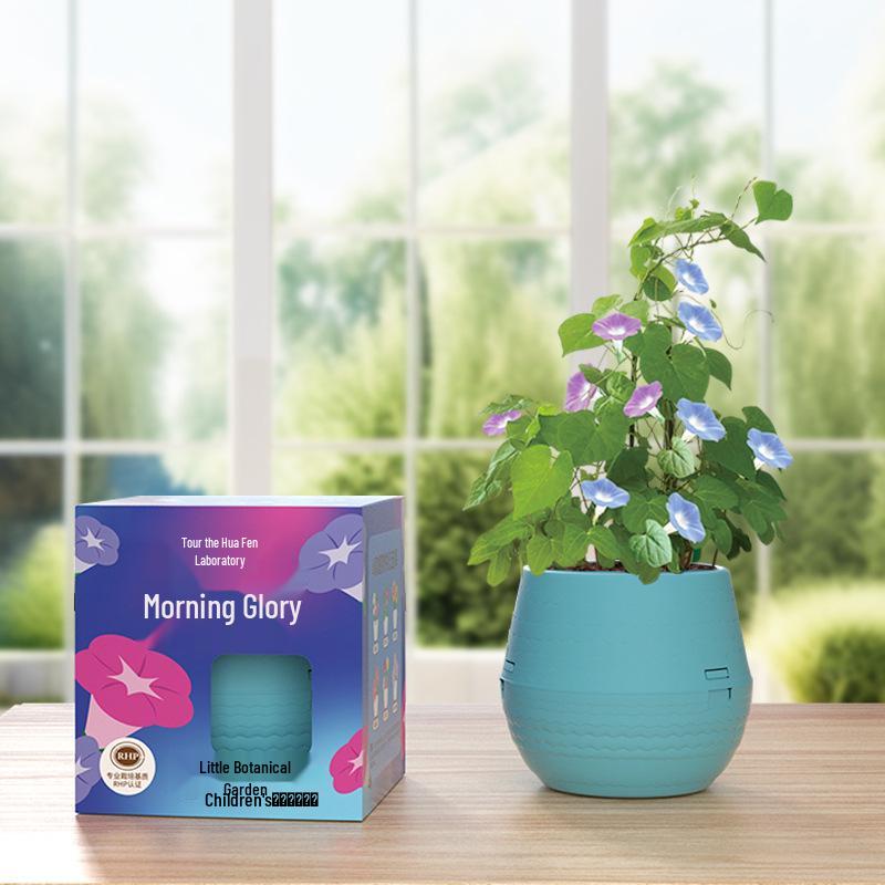 Kids' Chili Planting Pot - Primary School Gardening Kit