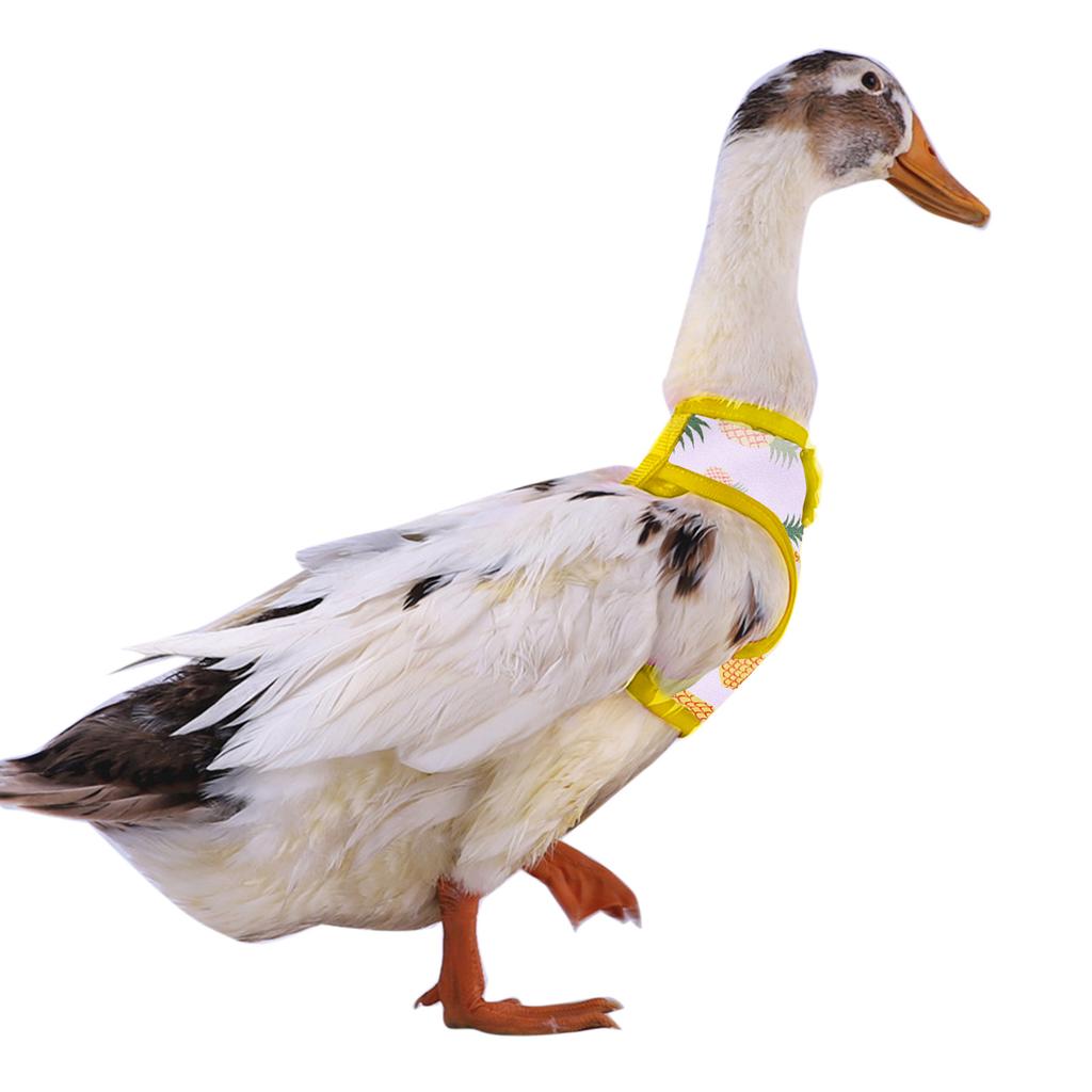 Harness Leash for Pet Safety Vest Walkng Lead Easy Control Supplies Pet Harness for Duck Ferret Accessories