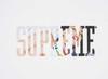 Supreme Tera Patrick Tee White
