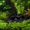 Yousheng Doppelte Öffnung Aquarium Höhlentunnel, Fischversteck Dekoration mit zwei Eingängen, PLA Künstlicher Stein Unterschlupf für Bodenbewohner, Kleine Fische