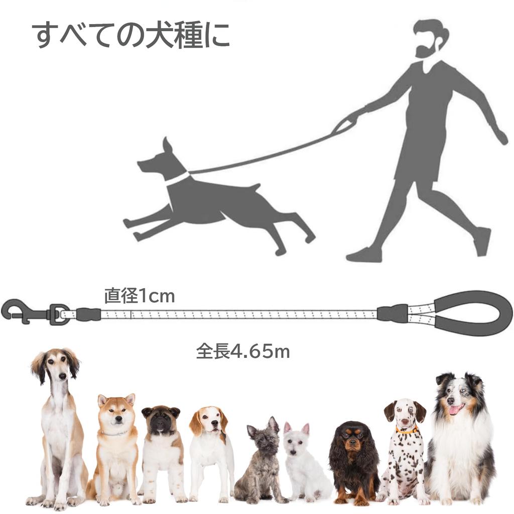 Dog Leash 1cm Long Lightweight Nylon with Reflective Suitable for Large Outdoor Walks and 4.65m, Diameter, Leash, Features, Dogs, Training, Playtime.