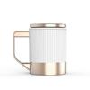 Elegant Tea Infuser Gift Cup