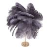 Feather Table Lamp 3 Color Dimmable Touch Switch USB Plug In Romantic Modern Decorative Bedside