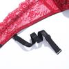 Women's Mesh Embroidered Bra Thong Set, Erotic Lingerie Two Piece Set