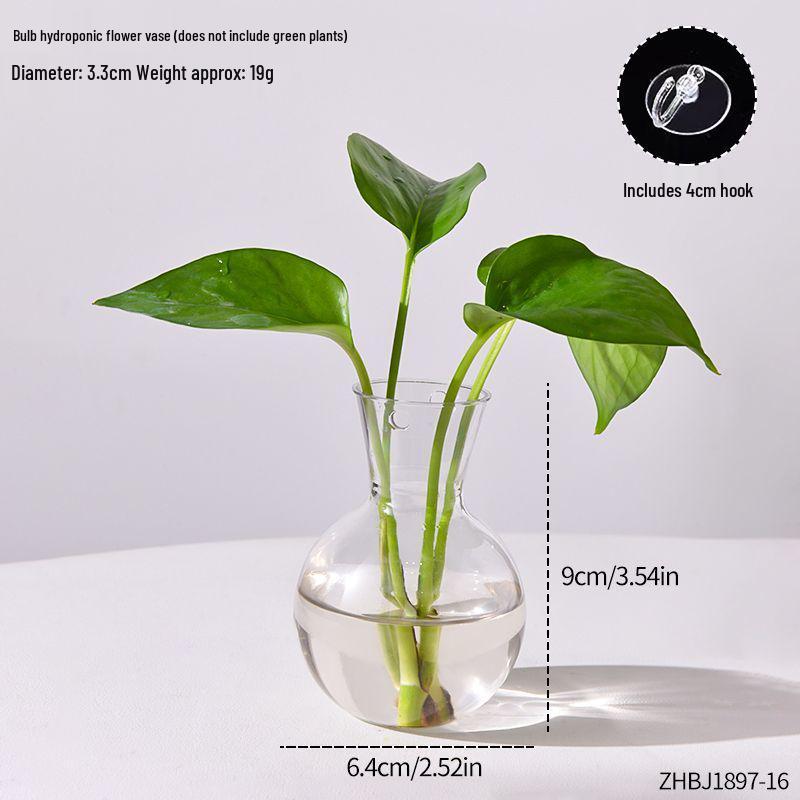 Wall-Mounted Hydroponic Glass Vase for Indoor Pothos and Money Plants, Transparent Decorative Planter for Home Windows
