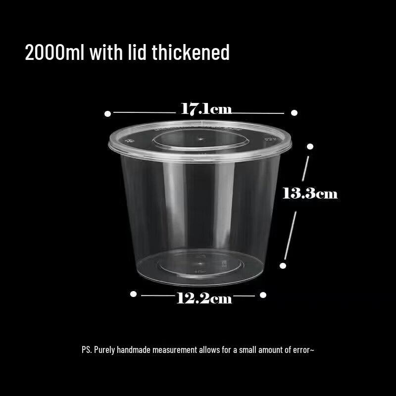 Large Transparent Disposable Plastic Food Containers