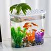 Plastic Clear Table Fish Bowl Shatterproof Planter Tanks Hydroponics Aquaponic Fish Bowl Soil Cultivation for Home Office Decor