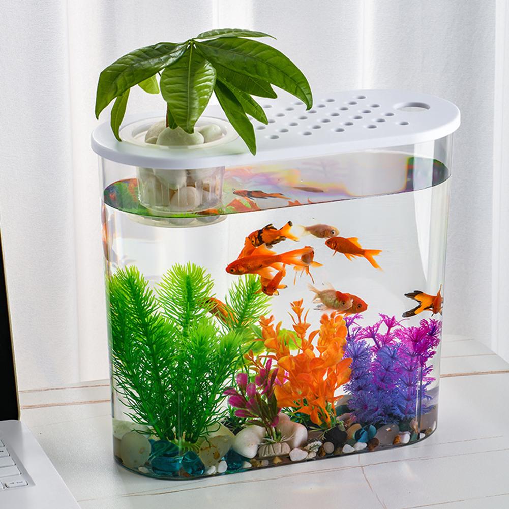 Plastic Clear Table Fish Bowl Shatterproof Planter Tanks Hydroponics Aquaponic Fish Bowl Soil Cultivation for Home Office Decor
