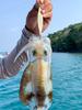 5Pcs Luminous Squid Lure Night Fishing Lamp Hook Waterproof Cuttlefish Attracting Lure Rustproof Double Hook for Octopus Squid