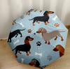 Dachshunds And Floral Delight Automatic Umbrella Folding Umbrella with 8 Ribs Lightweight for Women/Men Fashion Lovers Best for Christmas