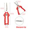 Professional Grape Pruning Scissors Stainless Steel Garden Shears with Lock for Fruit Picking Vegetable Patch Bonsai Care