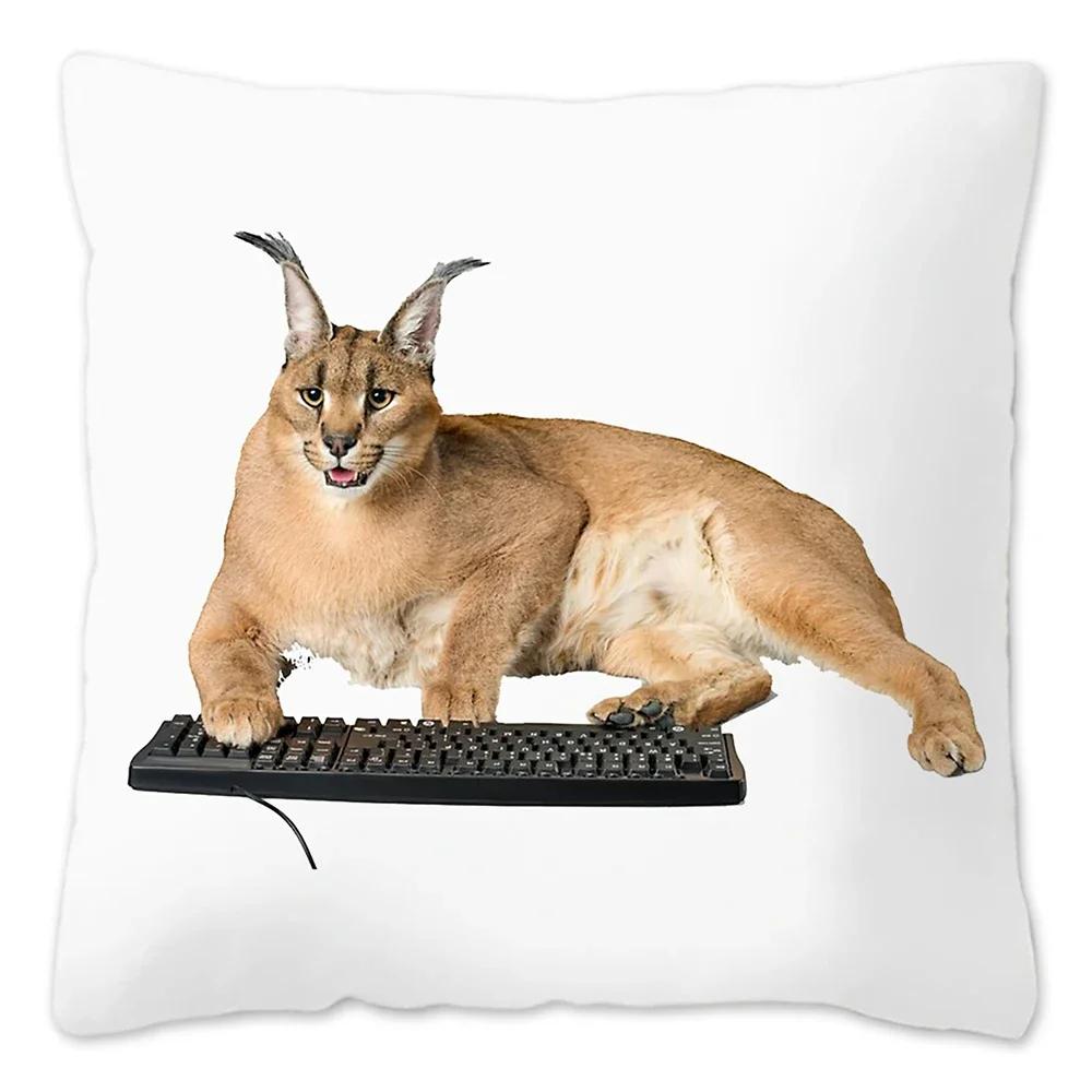 Capa de Almofada Meme Fofo Floppa 40x40 Decoração de Casa Dakimakura Engraçada Gato Caracal Capa de Almofada para Sala de Estar Housse De Coussin