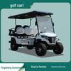 Electric Golf Cart: 4-Seater Scenic Sightseeing & 2-Seater Patrol Car