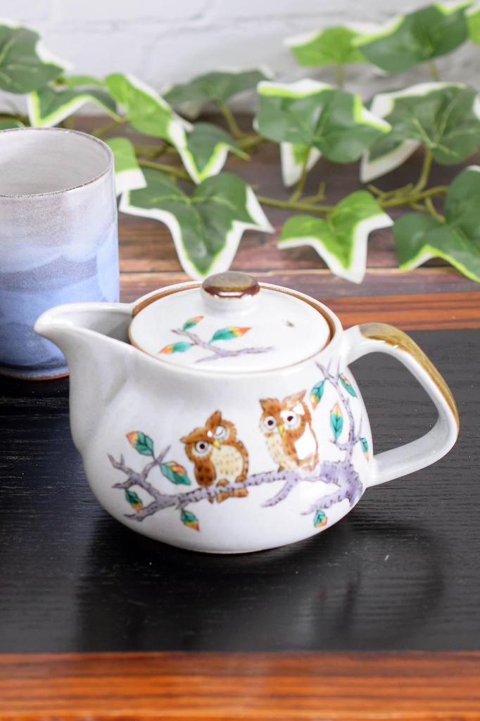 Waza no Kura Stylish Japanese Tableware Kutani Ware Teapot with Owl Design and Tea Strainer Ceramic Brand Made in Japan Perfect for Birthday Gifts -
