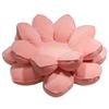 Large Lotus Seat Cushion Plush Toy Good Luck Lotus Lotus Doll Girls Home Sofa Bedroom Tatami Seat Cushion